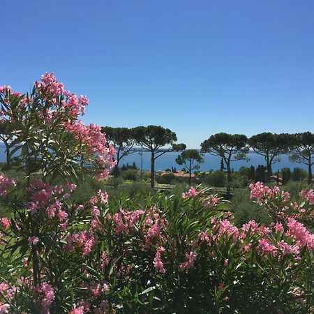 Agriturismo Nonna Bettina Moniga del Garda Eksteriør billede