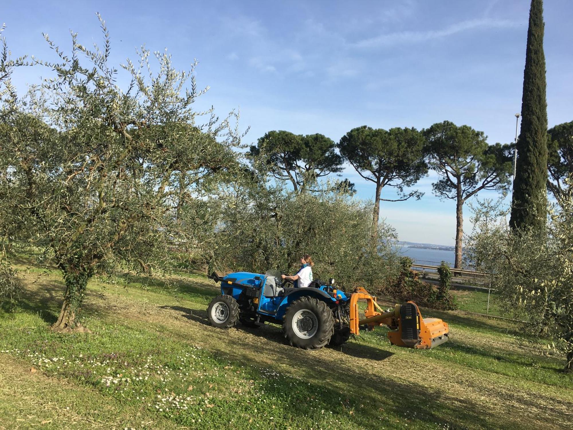 Agriturismo Nonna Bettina Moniga del Garda Eksteriør billede