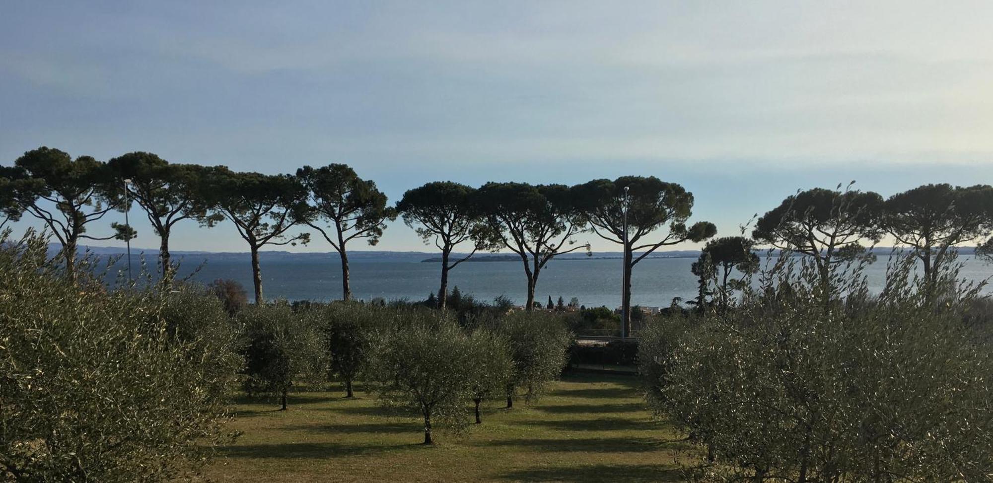 Agriturismo Nonna Bettina Moniga del Garda Eksteriør billede