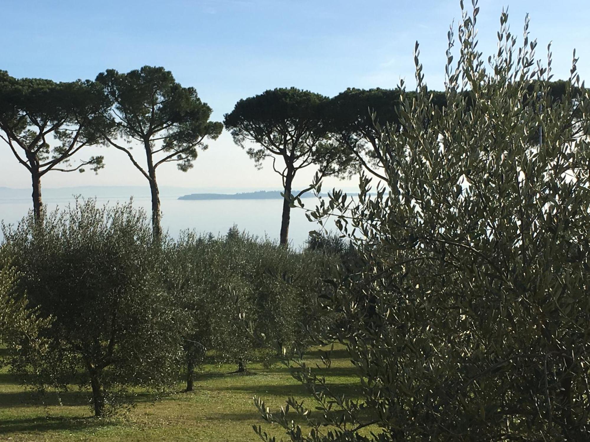 Agriturismo Nonna Bettina Moniga del Garda Eksteriør billede